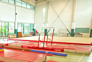 Ifs Sec Gymnastics